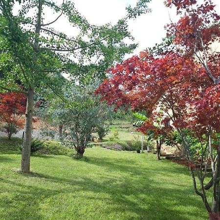 Istanti - Menta Apartment Costigliole Saluzzo Екстериор снимка