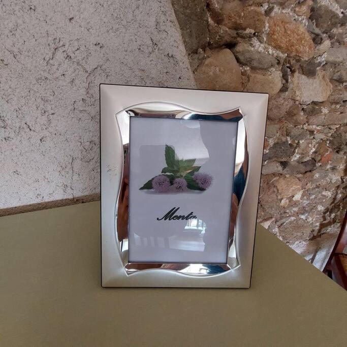Istanti - Menta Apartment Costigliole Saluzzo Екстериор снимка